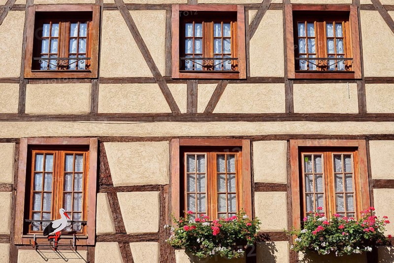 Half-timbered house house, façade with windows, Kaysersberg Vignoble, Haut-Rhin, Alsace, Grand Est, France
