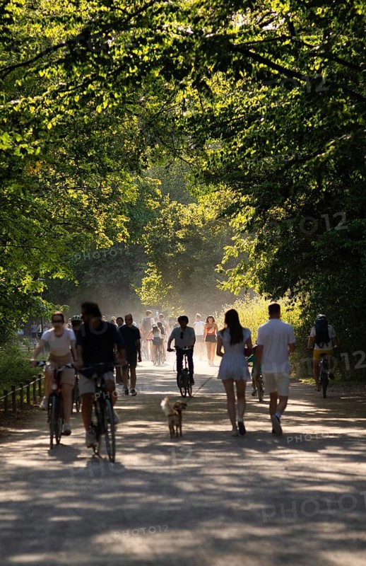 Walkers, cyclists, dogs, lots of traffic on the walking trail, English Garden, Munich, Bavaria, Germany