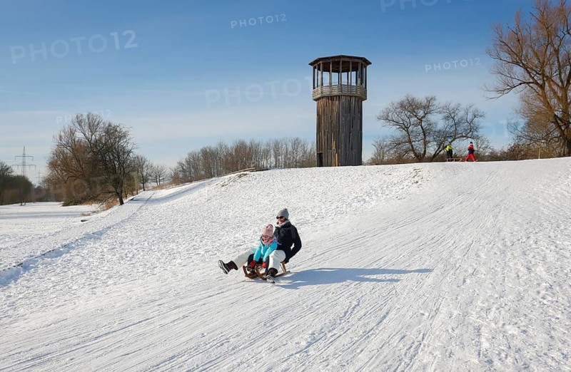 Recklinghausen, North Rhine-Westphalia, Germany - Sunny winter landscape in the Ruhr area, Emscher art in the snow, Kawamata Tower on the Emscher, WALKWAY AND TOWER, 2010, by Tadashi Kawamata, Families go sledging