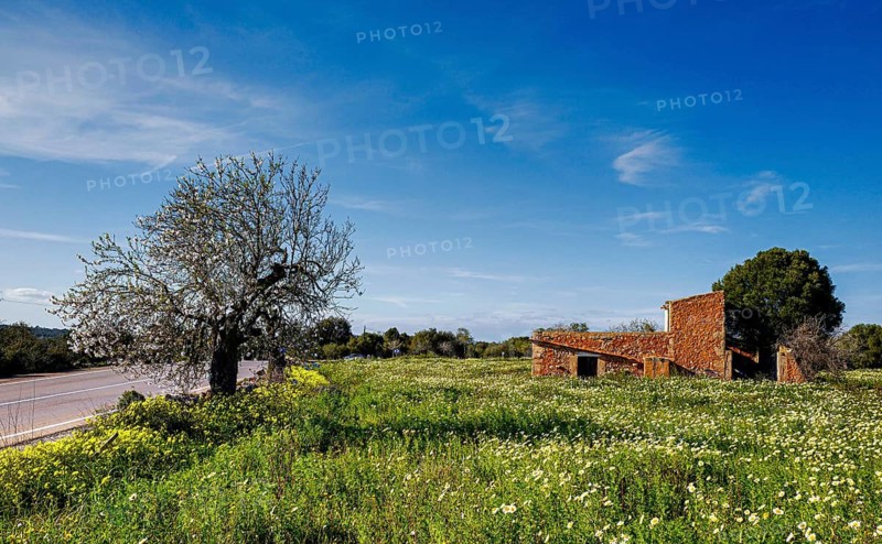 Landscape and nature in February, Majorca, Spain