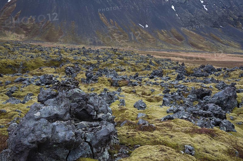 Landscape north of Arnarstapi, Vesturland, West Iceland, lava rocks, moss, Snæfellsjökull, Snæfellsnes peninsula