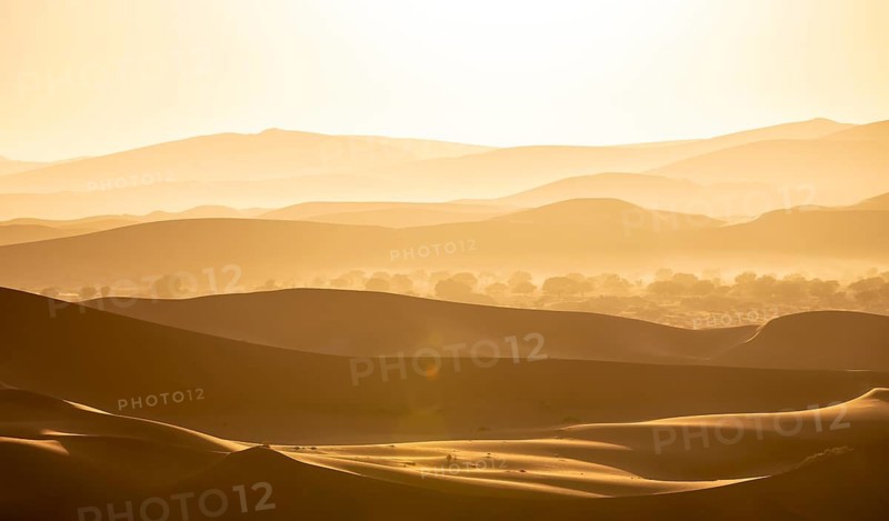 Back light, silhouettes in the desert, Namib sand dunes, Namib Desert, Namib-Naukluft National Park, Namibia