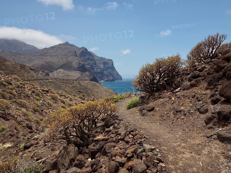 Rocky path leads through barren landscape with shrubs and mountains to the blue sea, La Aldea de San Nicolas, Gran Canaria, Spain