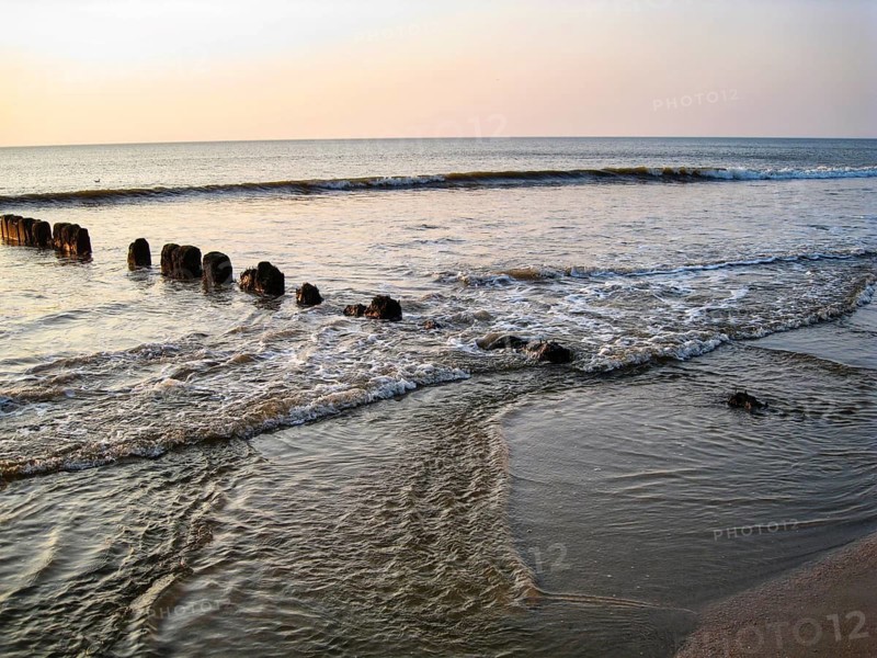 Sandy beach with shallow waves and old wooden groves in soft evening light, coastal protection groves, North Sea, Wenningstedt, Sylt, Germany