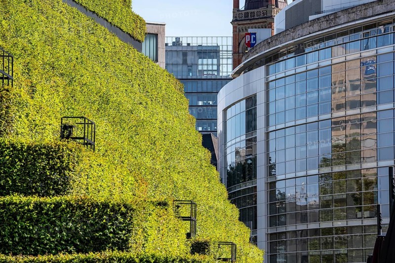 Green façade, made of over 30, 000 hornbeams, a good 8 kilometers long hedge, on the roof and the façade of the Kö-Bogen-2 house form the largest green façade in Europe, the plants prevent the façade from heating up and cool the environment by evaporating moisture through the plants, improving the microclimate in summer, Düsseldorf, North Rhine-Westphalia, Germany
