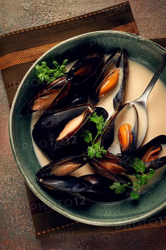 Mussels in shells, in creamy garlic sauce, mussels in bechamel sauce, homemade, no people