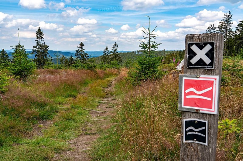 Hiking in the Sauerland, path near Jagdhaus, hiking sign, Rothaarsteig district of Schmallenberg, North Rhine-Westphalia, Germany