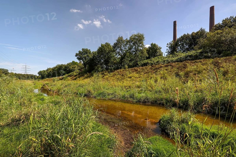 Bottrop, North Rhine-Westphalia, Germany, Renaturalised Boye, the tributary of the Emscher, was transformed into a near-natural watercourse, flood protection through newly designed flooding areas, the Boye is now free of wastewater after the construction of a parallel sewer, is part of the Emscher river system and thus part of the Emscher conversion, was previously an open, above-ground wastewater channel, mixed water channel with surface water and wastewater. Right Industrial area with chimneys in the city of Essen