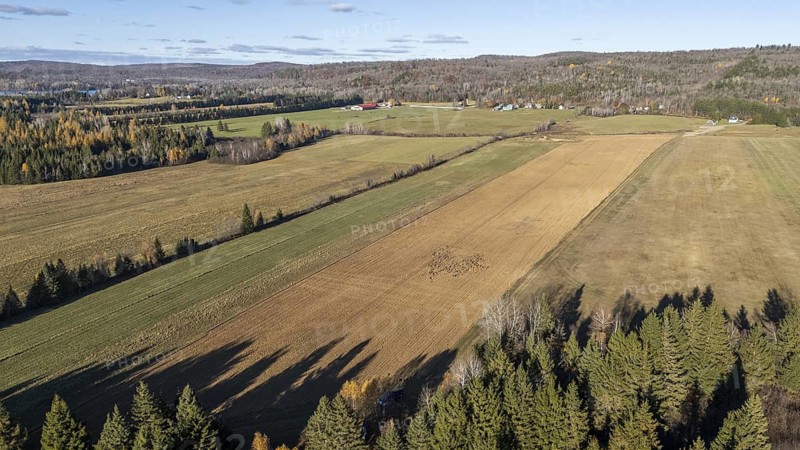 Cropping fields. Agriculture. Region of La Mauricie. Province of Quebec. Canada