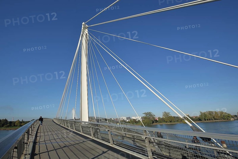 Modern cable-stayed bridge Passerelle des Deux Rives across the Rhine, footbridge with white struts, Kehl, Ortenau, Baden-Württemberg, Germany