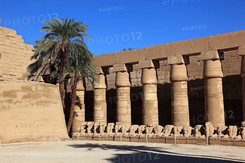 Luxor, Karnak Temple, part of the Amun Re Temple in Karnak, Africa, Upper Egypt, UNESCO World Heritage Site