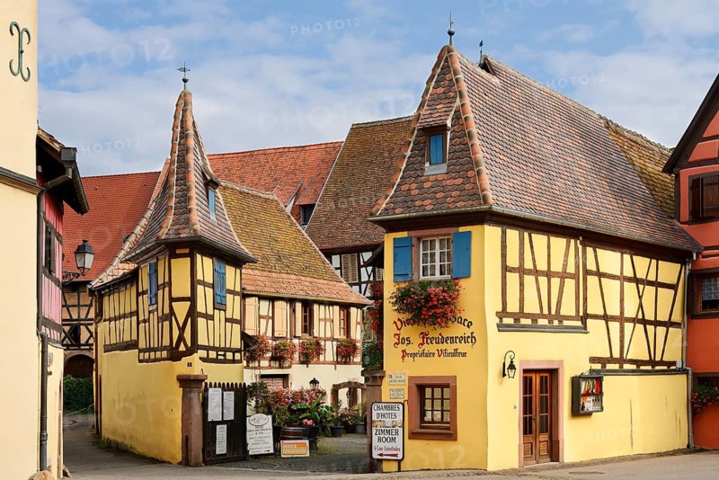 Weingut Joseph Freudenreich, Unterlindenhof, Eguisheim, Haut-Rhin, Alsace, Grand Est, France