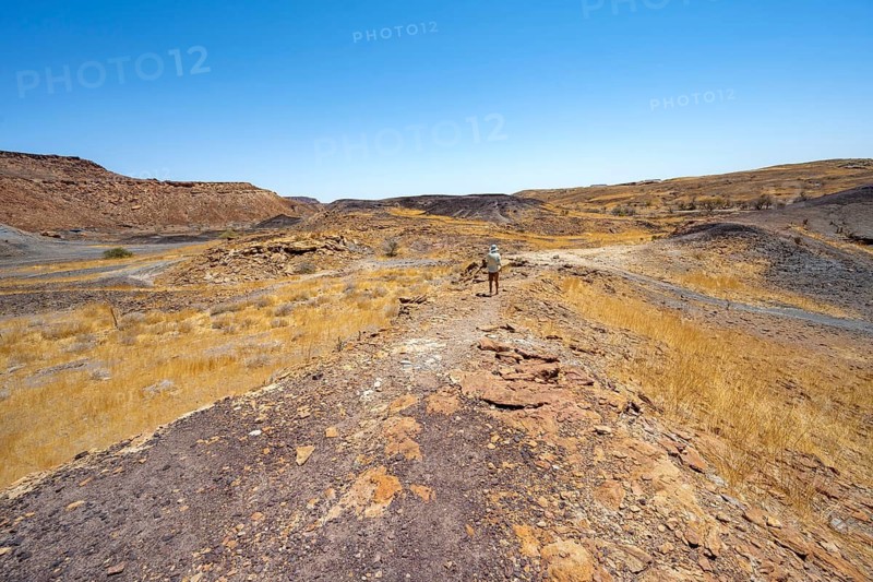 Tourist in dry landscape with yellow grass and black volcanic hills, Burnt Mountain, Damaraland, Kunene, Namibia