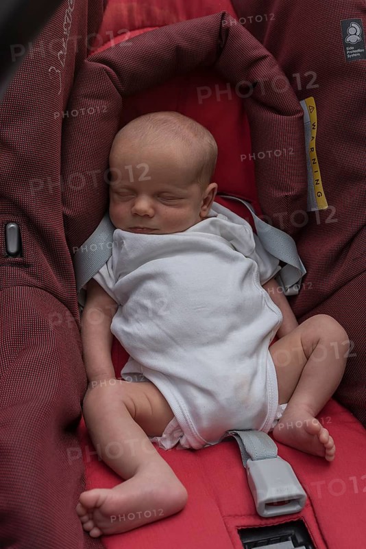 Sleeping infant in baby carrier, Mecklenburg-Western Pomerania, Germany