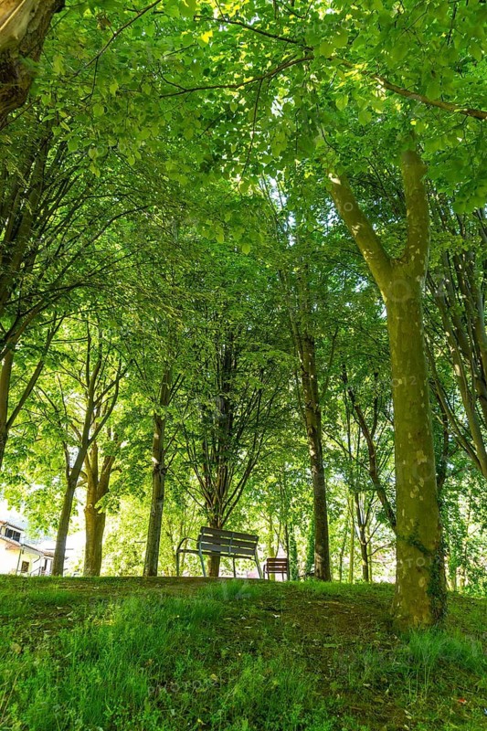 Park in the municipality of Lezo, the small coastal town in the province of Gipuzkoa, Basque Country. Spain
