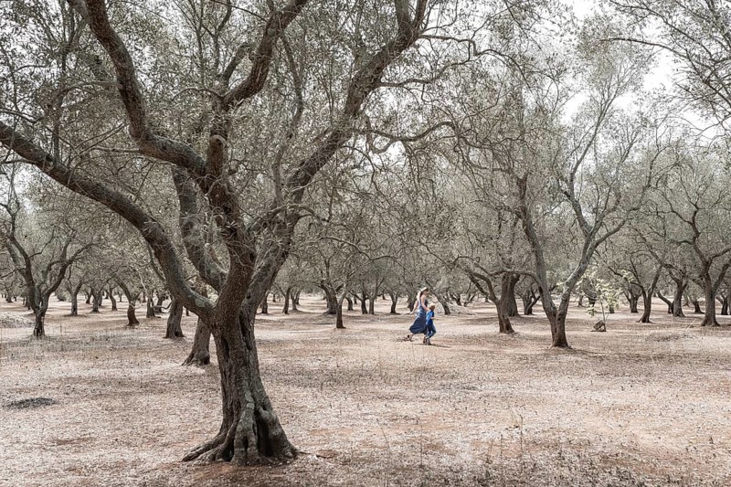 Mom and son running in olive grove in Plugia Italy