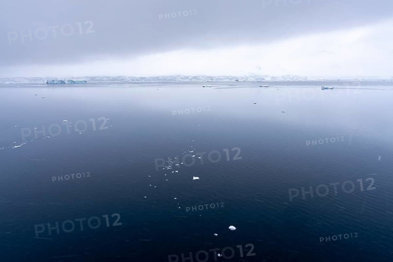 Calm water surface with drifting pieces of ice, glaciated coast and icebergs under cloudy sky in the background, Wilhelmina Bay, Antarctic Peninsula, Antarctica