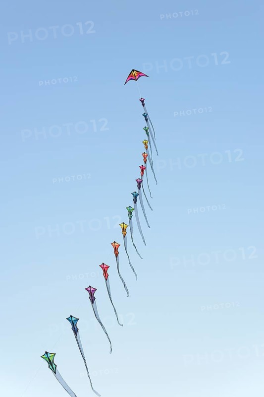 Many colourful wind birds in the blue sky, Drachenwiese, Norddeich, North Sea, Lower Saxony, Germany