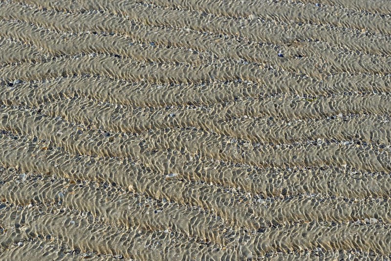 Sandy beach beach, current ripples and shells washed over by steady waves, North Sea, Norderney, East Frisian Islands, Lower Saxony, Germany