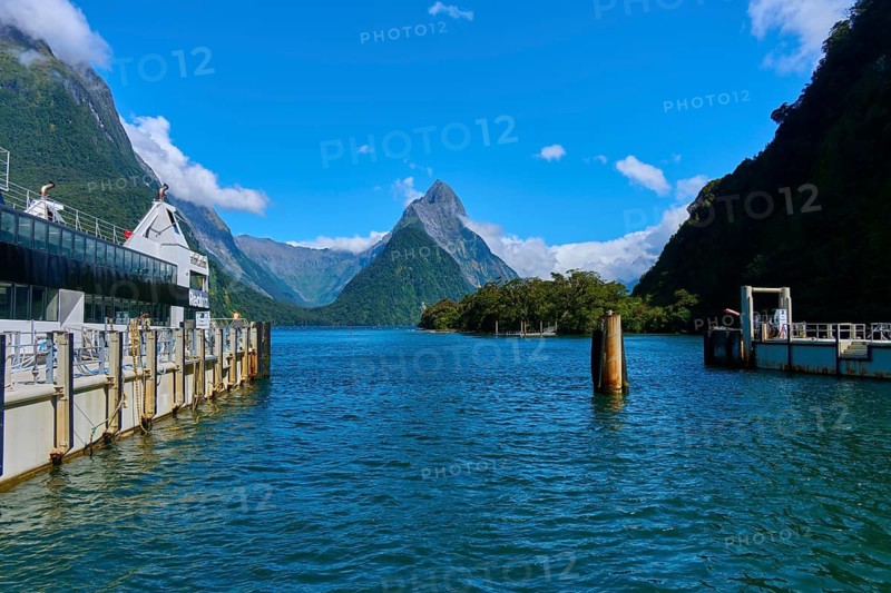 Calm fjord with steep mountains in the background, boats anchored at the pier under a clear sky, summer, Milford Sound, Te Anau, Fiordland National Park, South Island, New Zealand