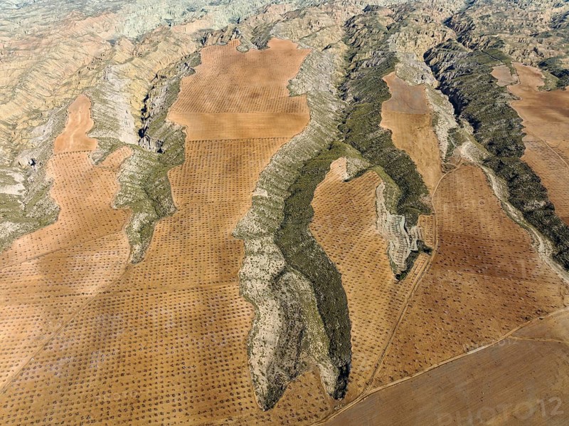 Canyons and gorges cut into the surrounding cultivated land, aerial view, drone shot, Gorafe Desert, UNESCO Granada Geopark, Granada province, Andalusia, Spain