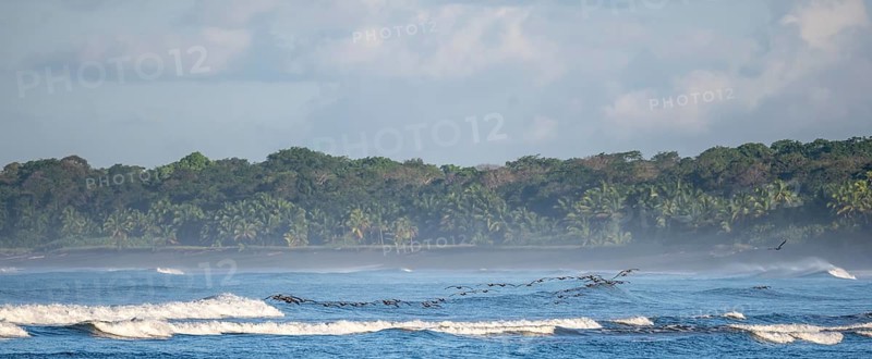 Coastal landscape, sea and sandy beach with rainforest, Corcovado National Park, Osa Peninsula, Puntarena Province, Costa Rica