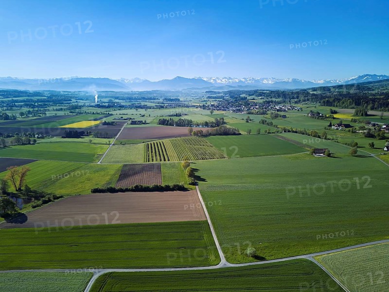 Meadows and fields, in the background the snow-covered Alps and the Rigi, Merenschwand, Reusstal, Freiamt, Canton of Aargau, Switzerland