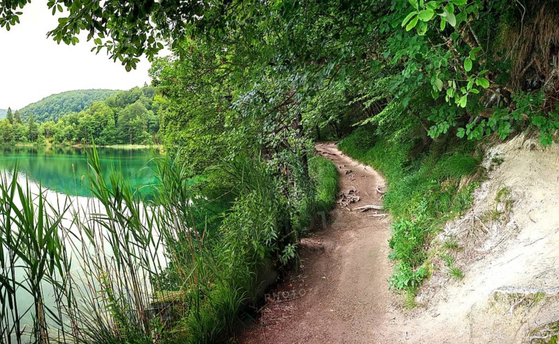 A narrow trail runs along a tranquil lake surrounded by lush greenery, Plitvice Lakes, Croatia