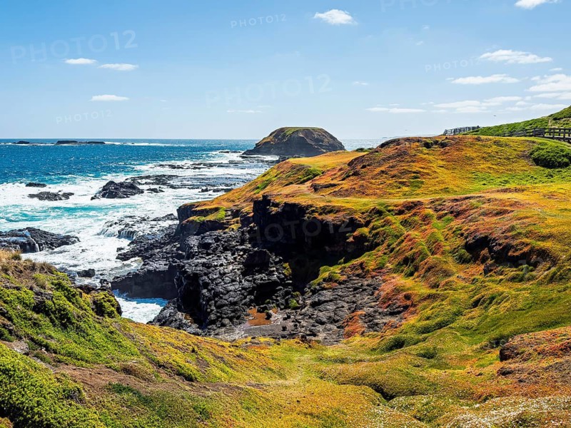 Stunning coastal view with rocky cliffs and vibrant greenery against a bright blue ocean in Phillip Island, Australia. Waves crash on the rugged shore under a sunny sky, creating a serene atmosphere