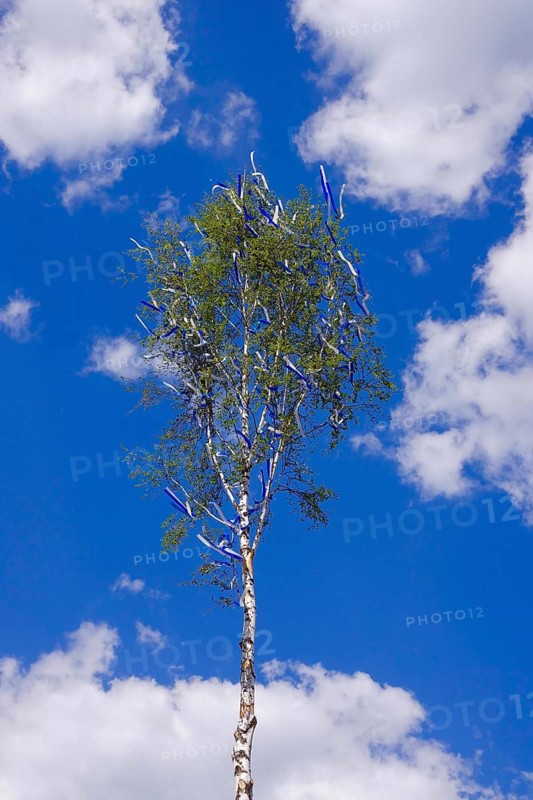 Decorated maypole in front of a cloudy sky, Germany
