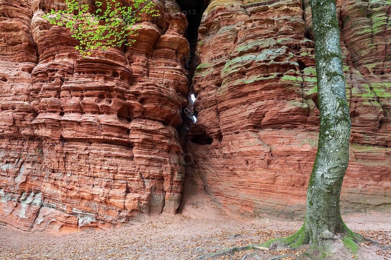 Old castle rock, red sandstone rock formation, natural and cultural monument, Brechenberg near Eppenbrunn, Palatinate Forest, Rhineland-Palatinate, Germany