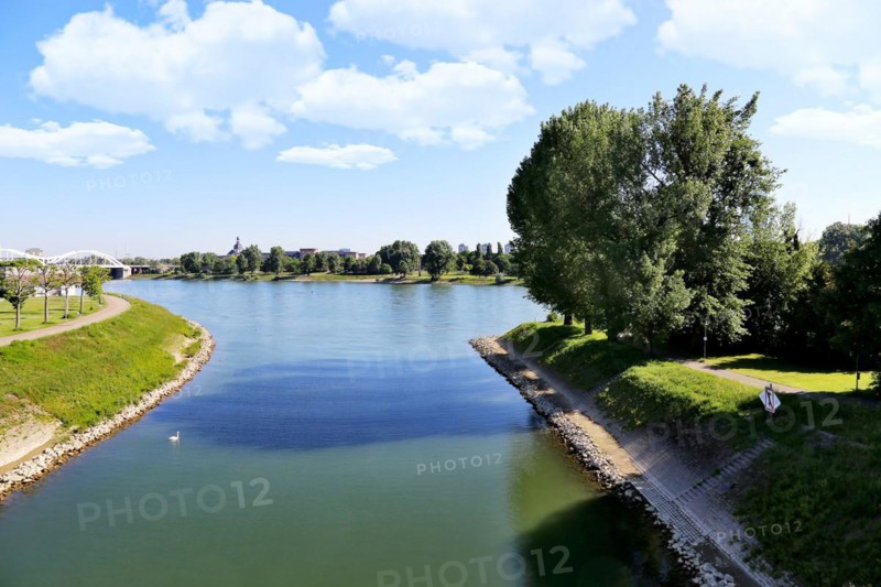 The park island in Ludwigshafen with the Rhine in the background
