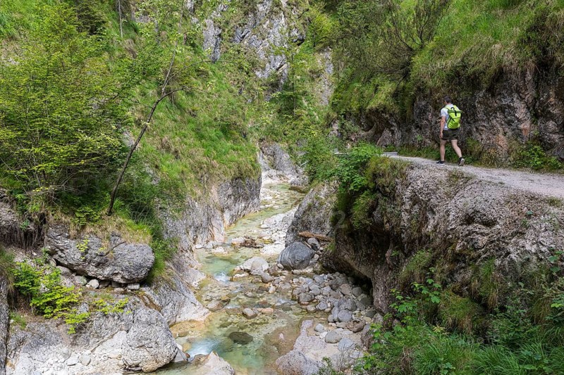 Hiking trail through the Almbach Gorge near Ettenberg, Berchtesgadener Land, Bavaria, Germany