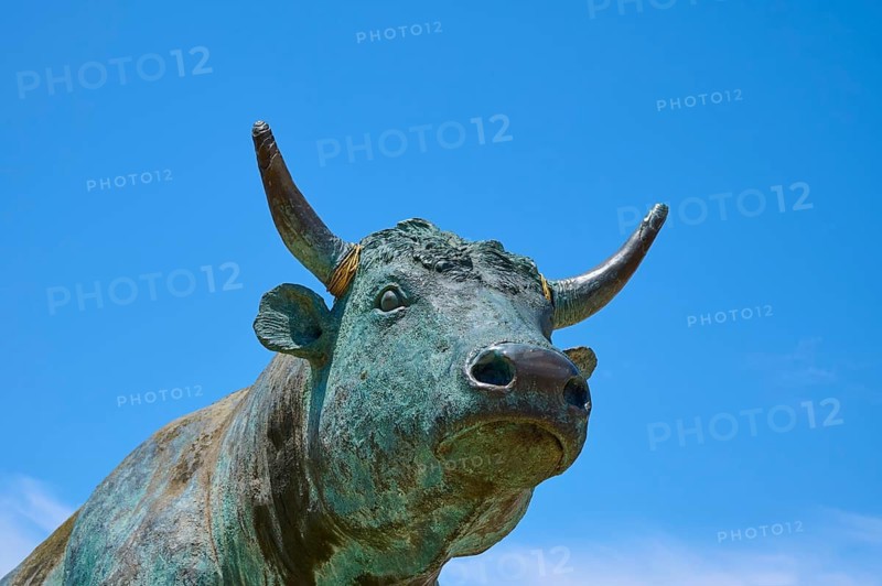 Bronze bull, statue of Vovo the Bull, by Peter Ball, in front of a clear blue sky, radiating strength and majesty, summer, Saintes-Maries-de-la-Mer, Camargue, France
