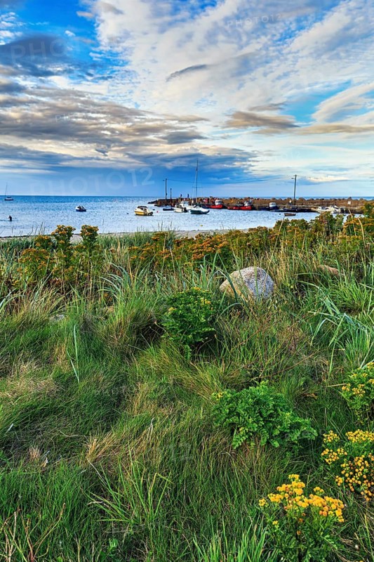 Coastline with view of Carne Pier, dusk, Carne Beach, Wexford, Gerrans Bay, Roseland Peninsula, Ireland