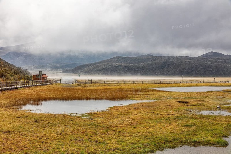 Fog, National Park, Cotopaxi, Ecuador