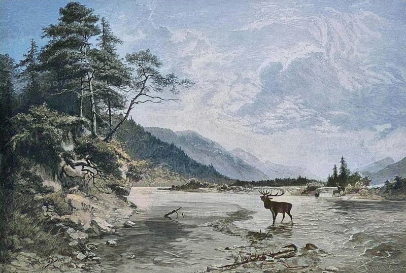 The River Isar near Wallgau in 1886, Bavaria, Germany, Historical, digitally restored reproduction of a 19th century original