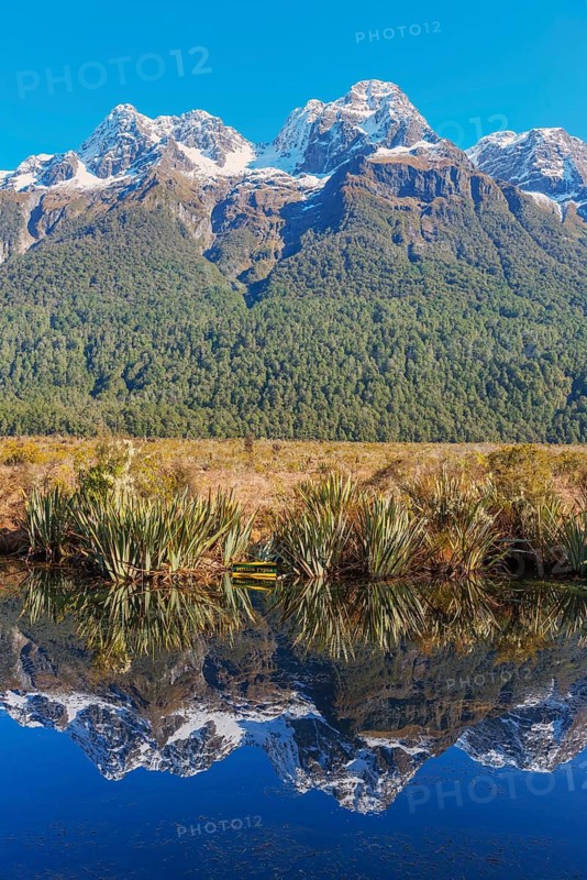 Snow capped mountains reflecting in Lake Matheson, Milford Sound, Fiordland National Park, South Island, New Zealand