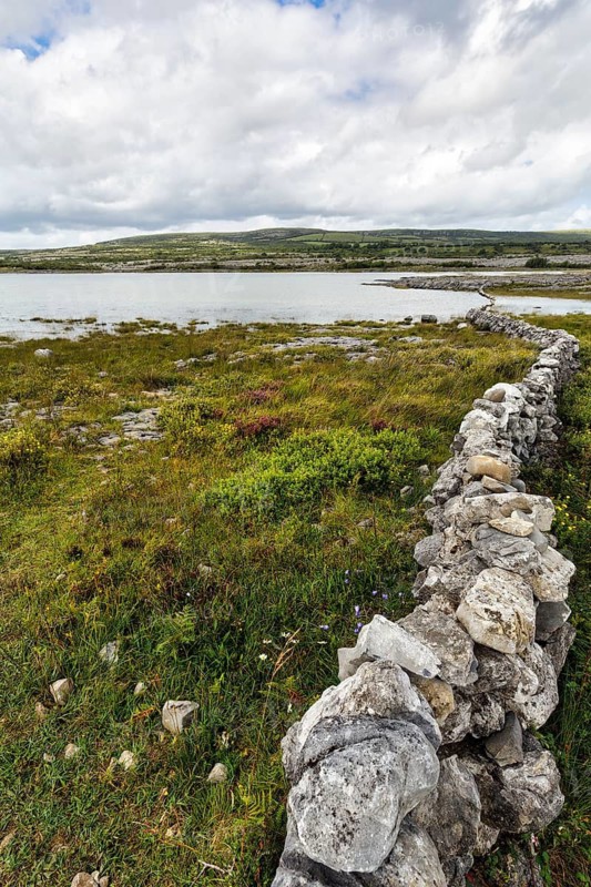 Stone wall as boundary, karst landscape, lake on the horizon, Burren National Park, County Clare, Ireland