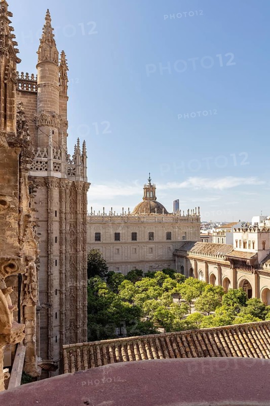 View of the cathedral tower and courtyard with green trees on a sunny day, Seville