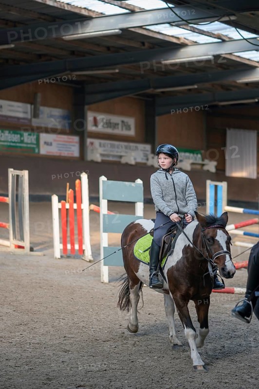 Little girl, 10 years old, on a horse in an indoor riding arena, Mecklenburg-Vorpommern, Germany