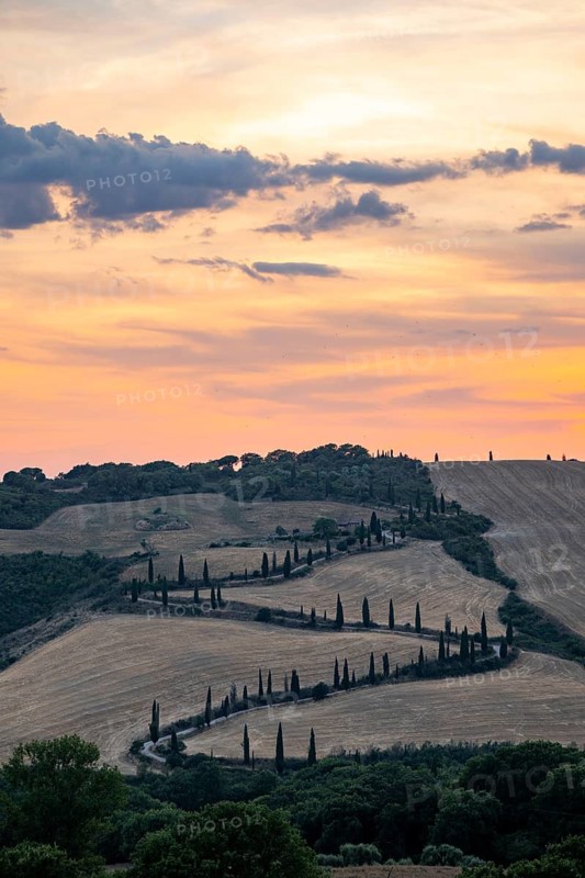 Typical Tuscan landscape in Val d'Orcia with hills, trees, fields, cypresses and farm road in autumn at sunset, La Foce, Tuscany, Italy