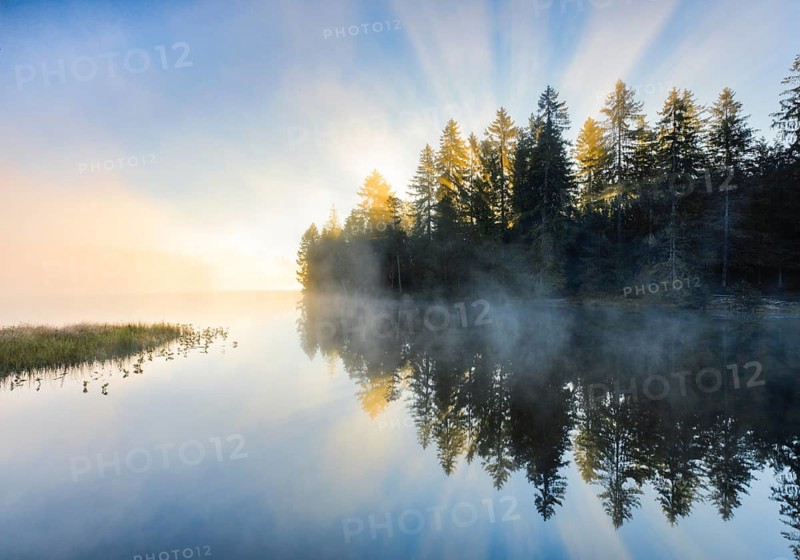 Sunrise over the mirror-smooth mire lake Étang de la Gruère in the canton of Jura, Switzerland