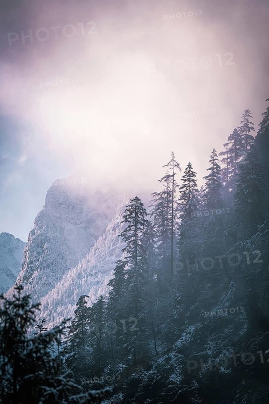 Sunlight breaks through the foggy winter morning over snow-covered trees and mountains, Alpenstraße, Bad Reichenhall, Germany