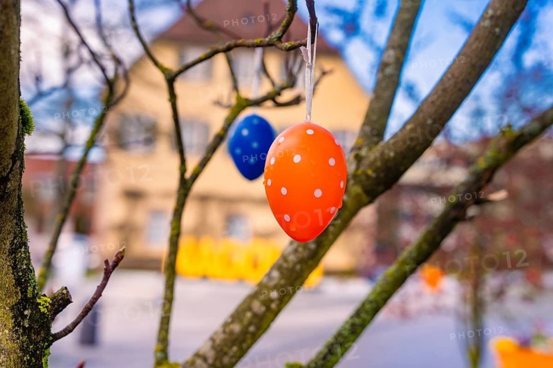 Colourful Easter eggs in a tree with blurred building in the background, Nagold, Calw district, Germany