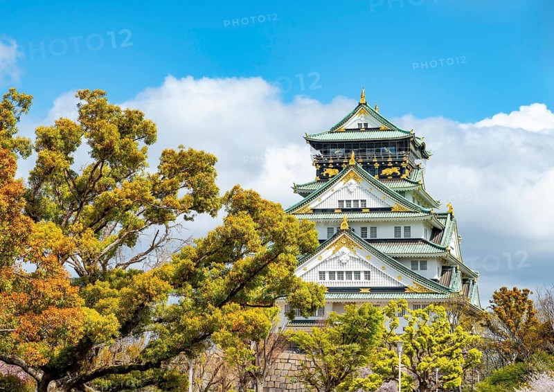 Osaka castle among trees in the park, Osaka Castle Park, Chuo-ku, Osaka, Japan