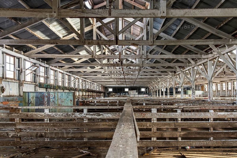 Sheepfolds inside the shearing shed, Estancia San Gregorio, Puente Alto, Metropolitan Region, Chile