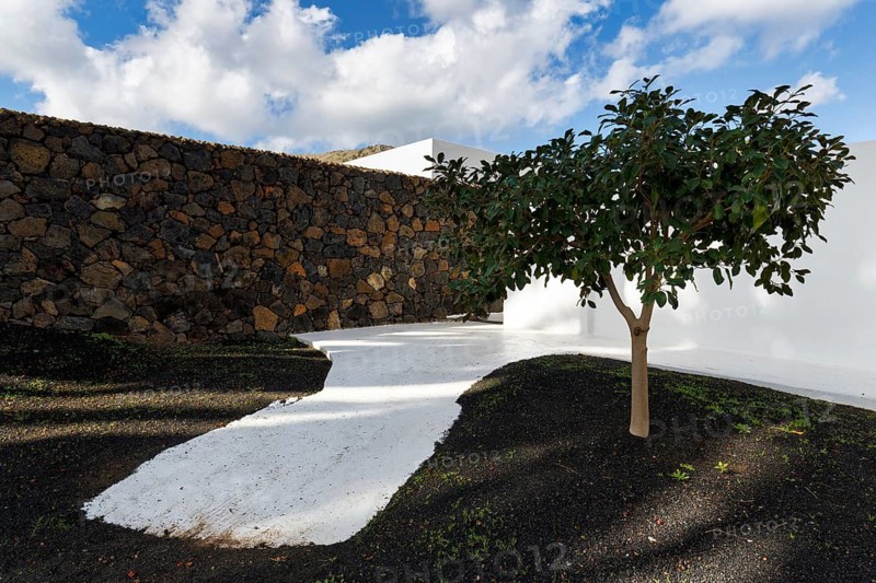 Courtyard, garden, César Manrique House Museum, Haria, Lanzarote, Spain