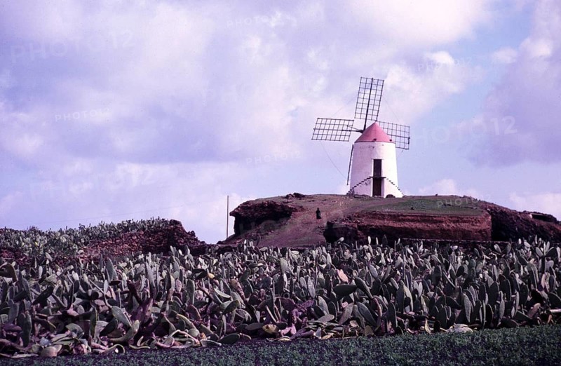 Traditional windmill in Guatiza, Lanzarote, Canary Islands, Spain, 1979