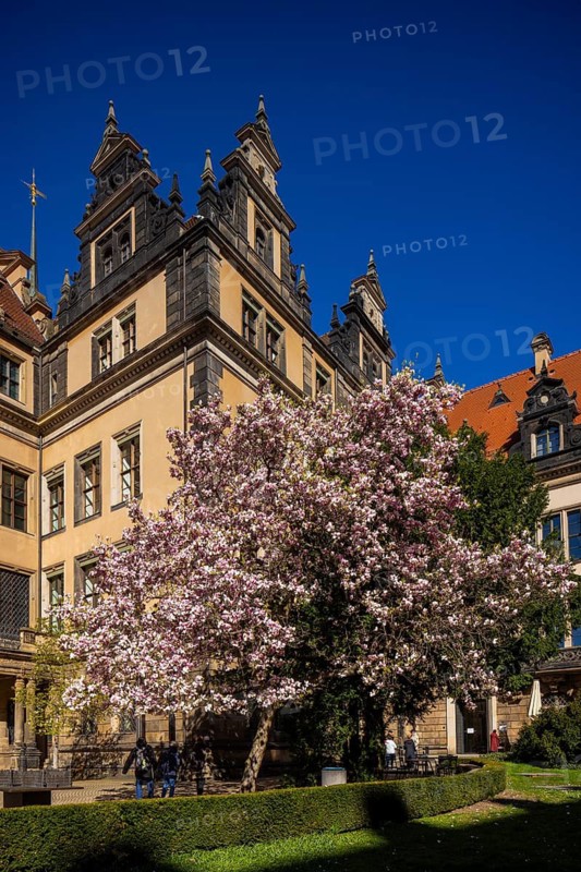 Residenzschloss Dresden, Dresden, Saxony, Germany
